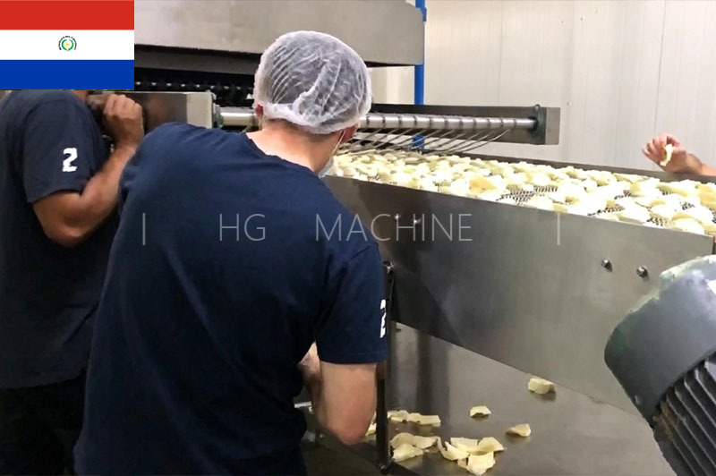 巴拉圭芯片生产项目250公斤/小时