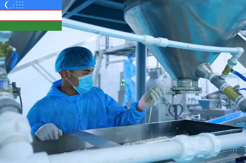 乌兹别克斯坦 | 米粉生产线交钥匙工程